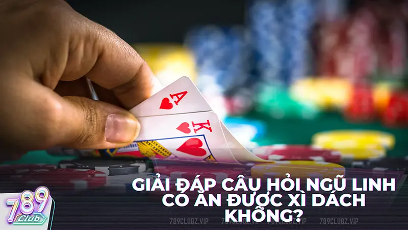 Giải đáp thắc mắc ngũ linh có ăn được xì dách không?