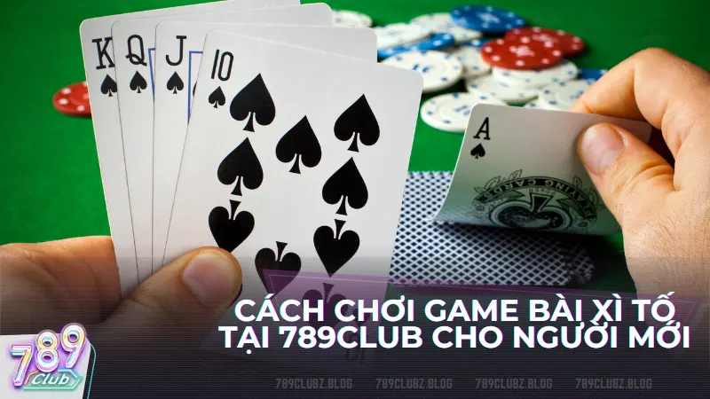 Cách chơi game bài Xì tố tại 789Club cho người mới