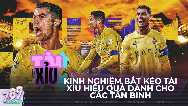 Kinh nghiệm bắt kèo tài xỉu hiệu quả dành cho các tân binh